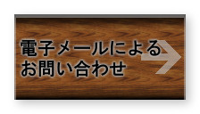 電子メールによるお問い合わせ